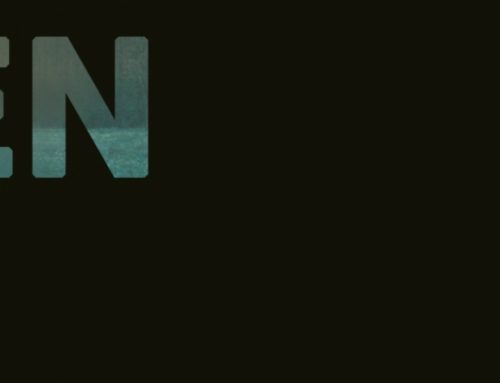 preorder: boden – s/t 12″